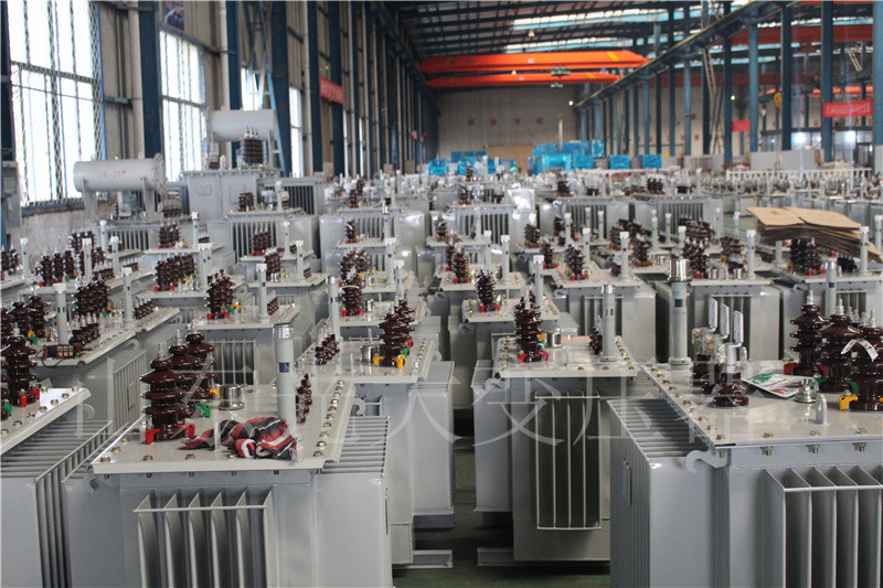 颍上S22-800KVA/10KV油浸式变压器